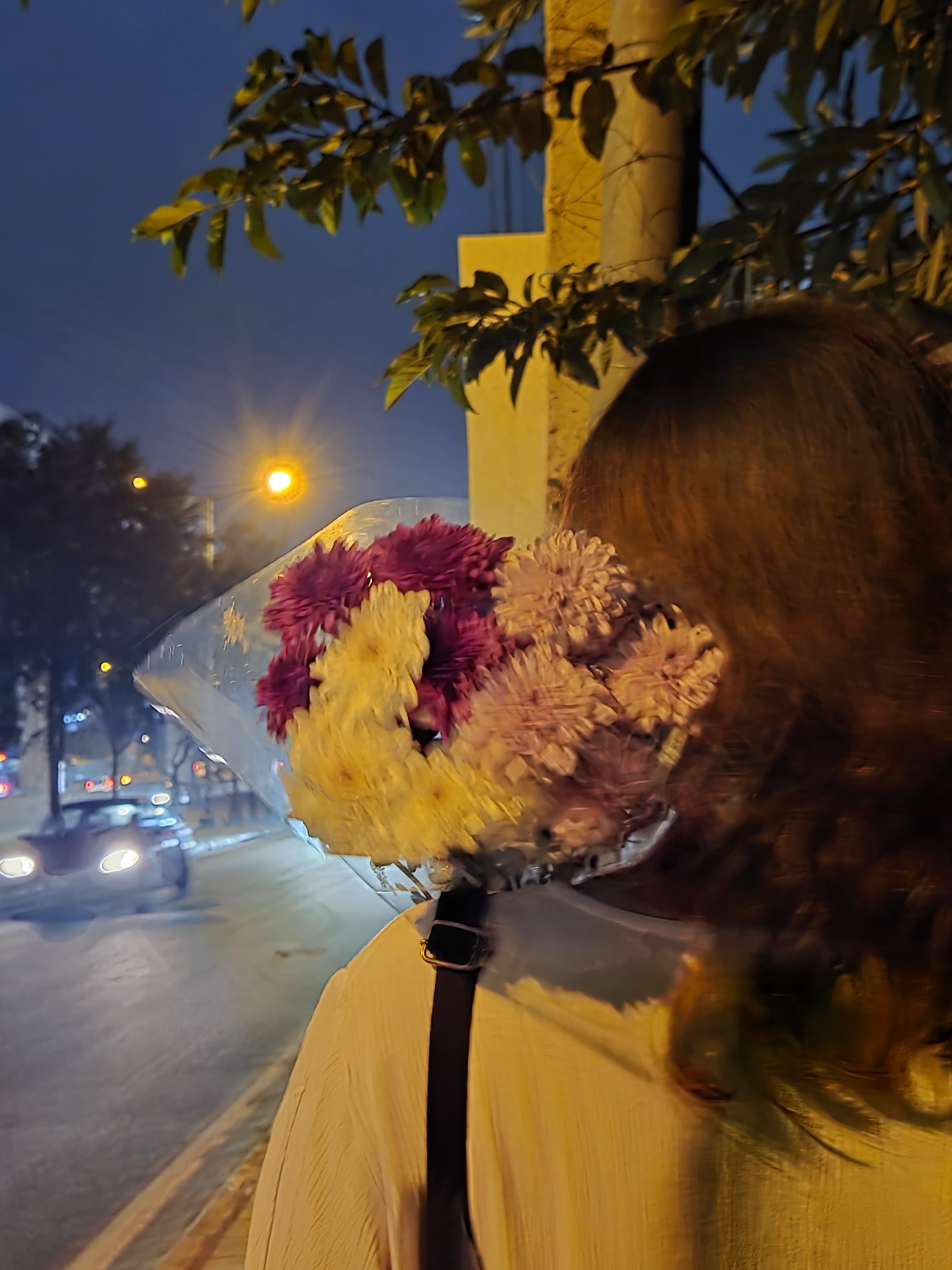 Need suggestions for exploring BLR 