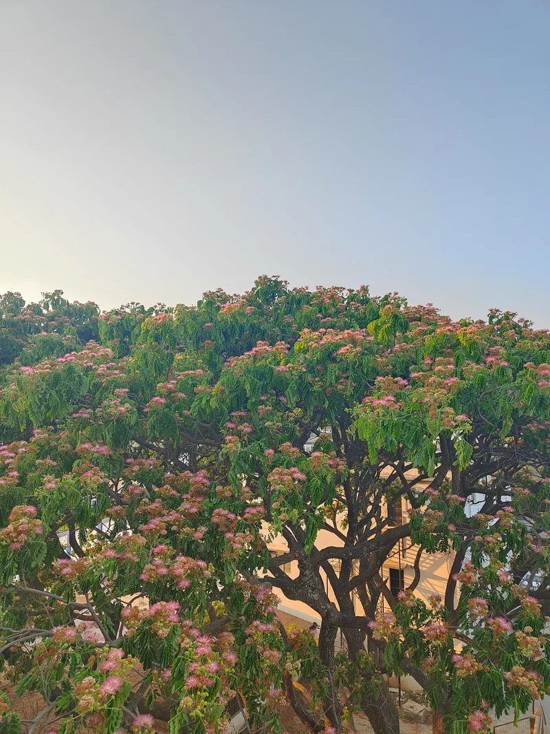 How to deal with laundry and sadness?