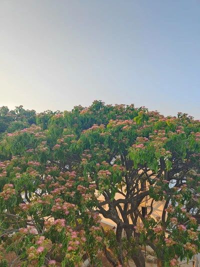 How to deal with laundry and sadness?