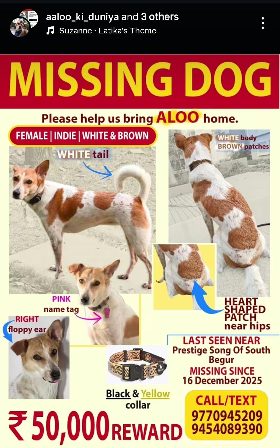 desperation can look like this - Image 2