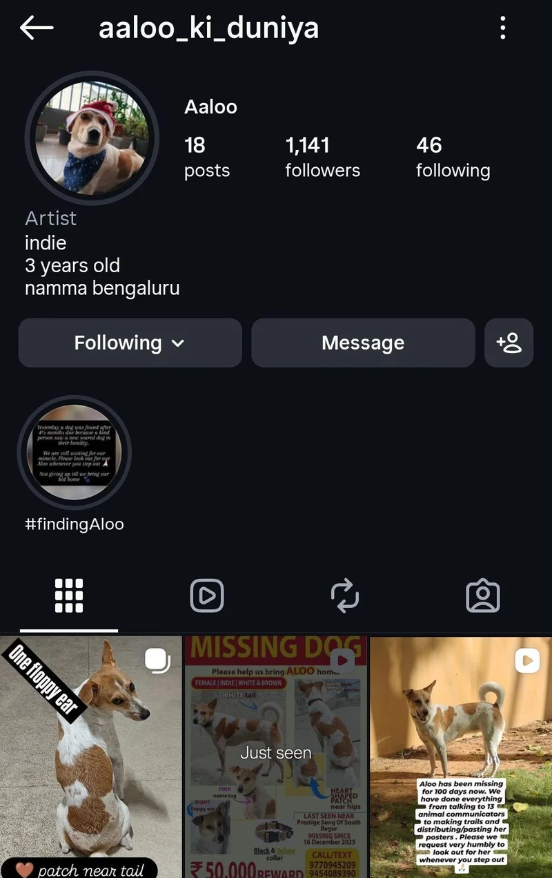 desperation can look like this